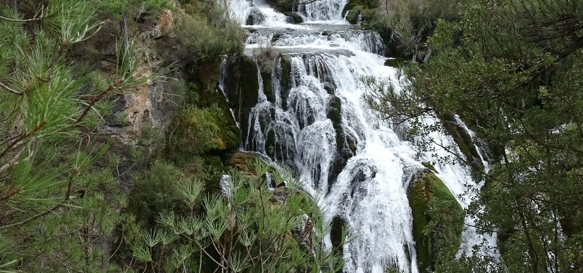 1744806289458 DSC05750