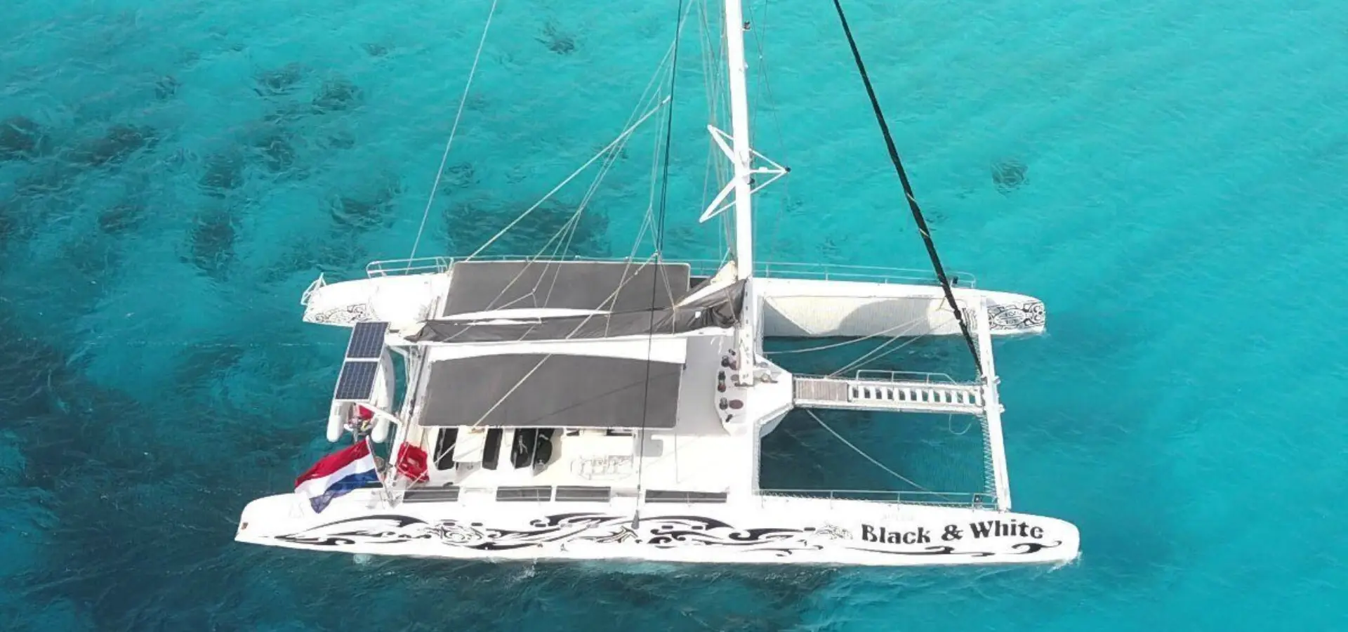 Blue finn black white klein curacao 1200x630