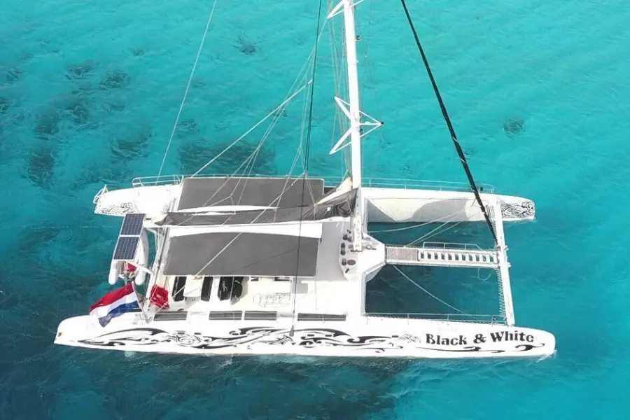 Blue finn black white klein curacao 1200x630