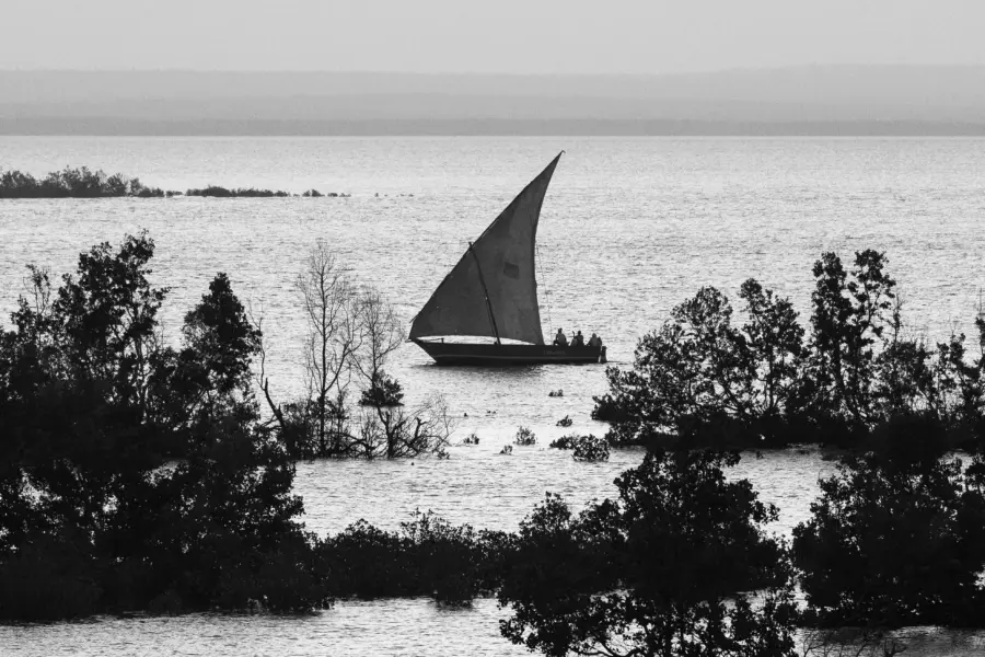 Dimitry b go3uzl86usu unsplash 11