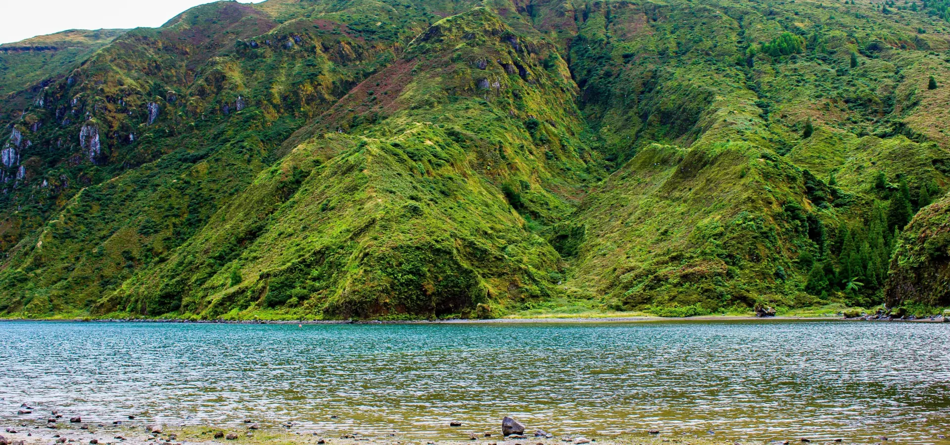 Alano oliveira vxehultlimi unsplash