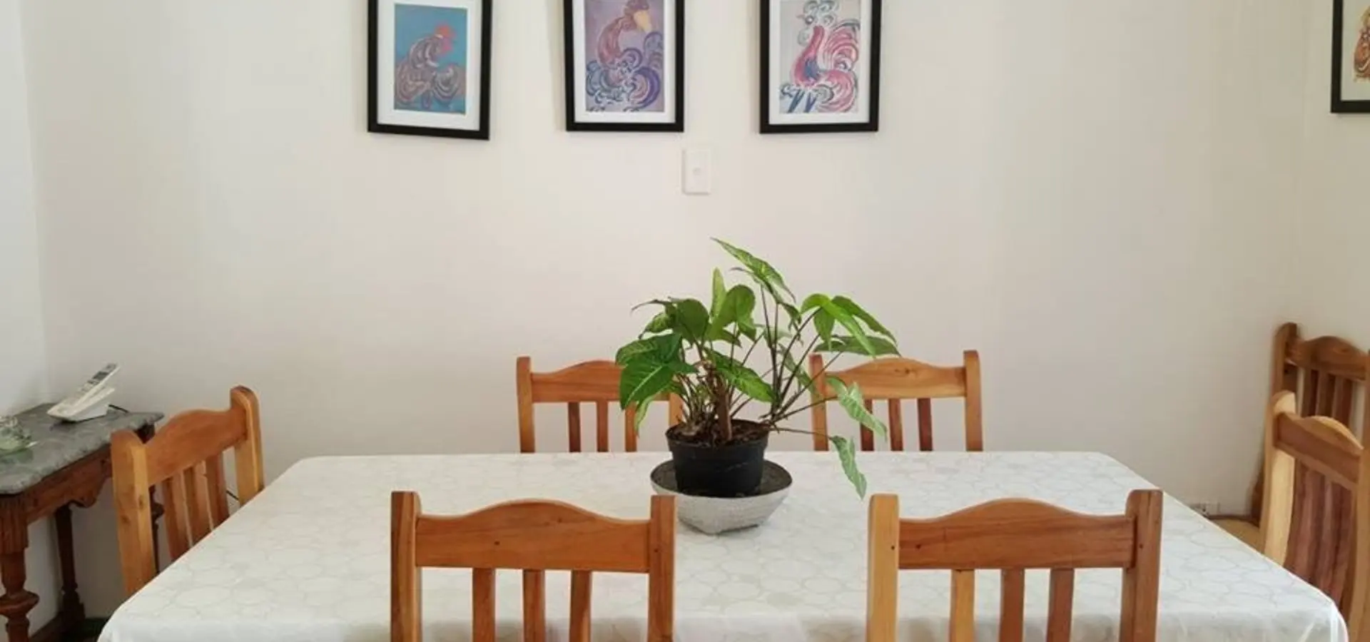 16195417 405378219799629 4347128050692185011 n