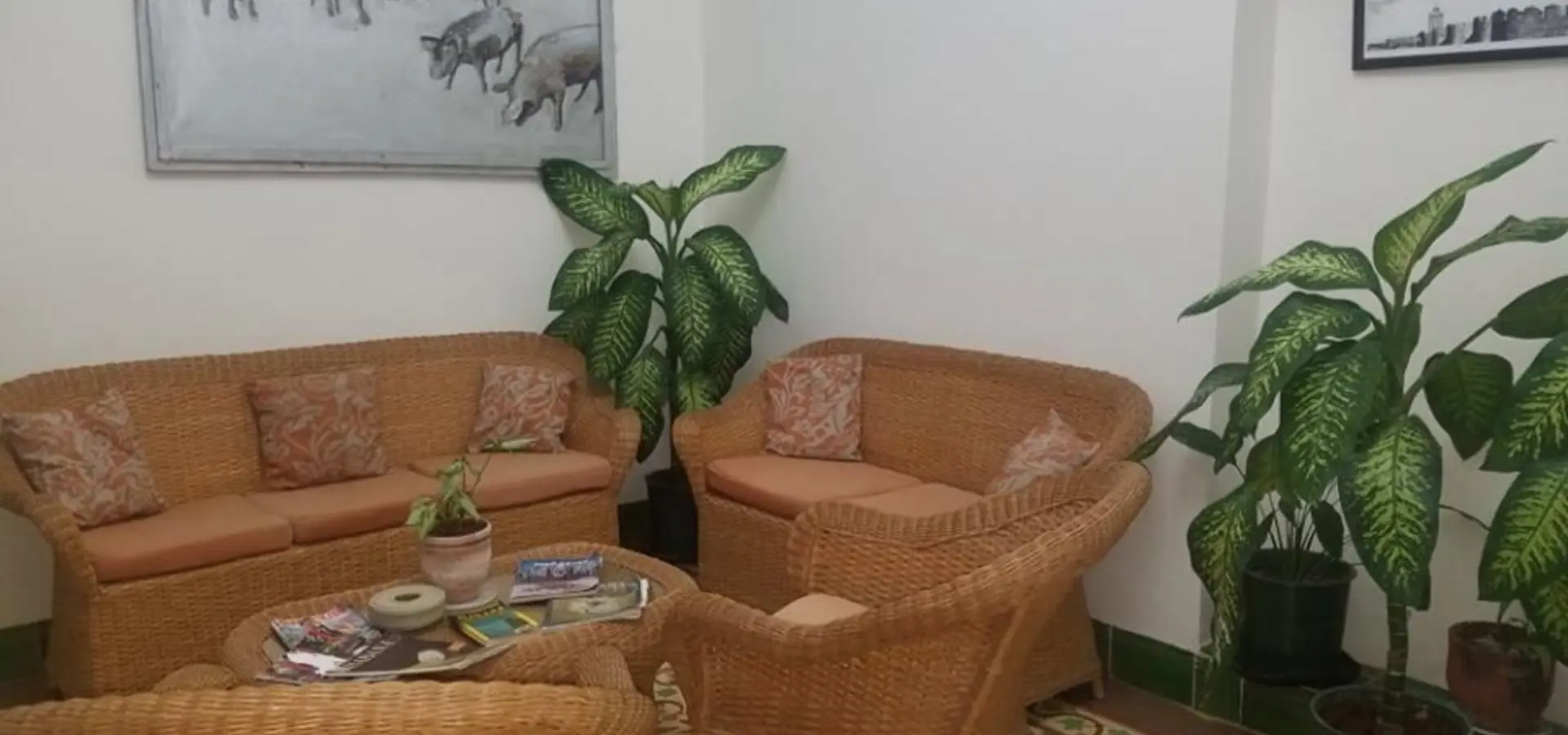 16114021 405378446466273 6730730992450138150 n