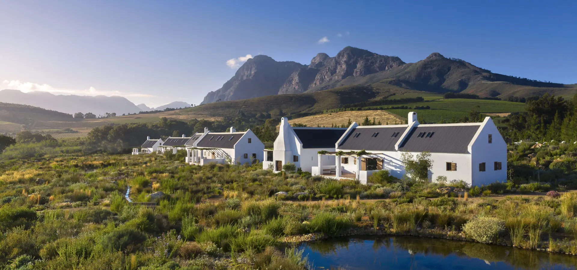 Fynbos cottages1