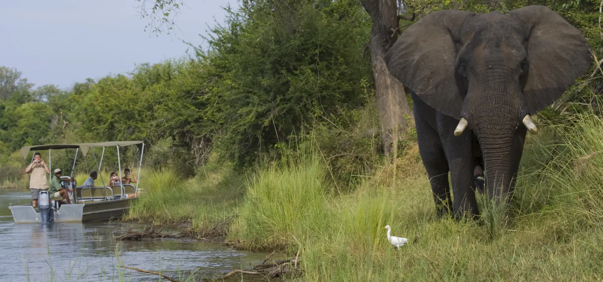 Activities Roger de la Harpe 16