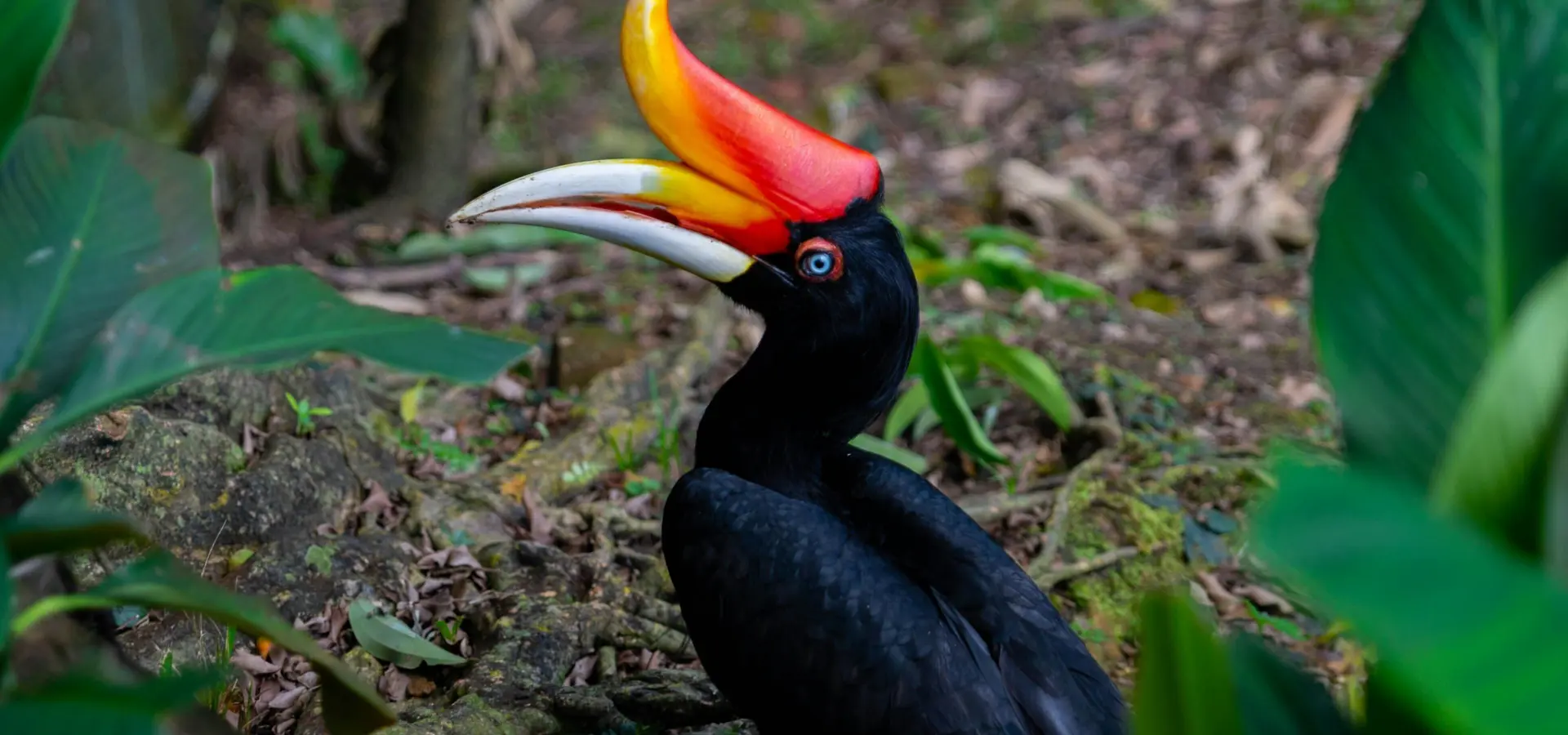 1761732138306mehdi ben lsjb1r37mnu unsplash