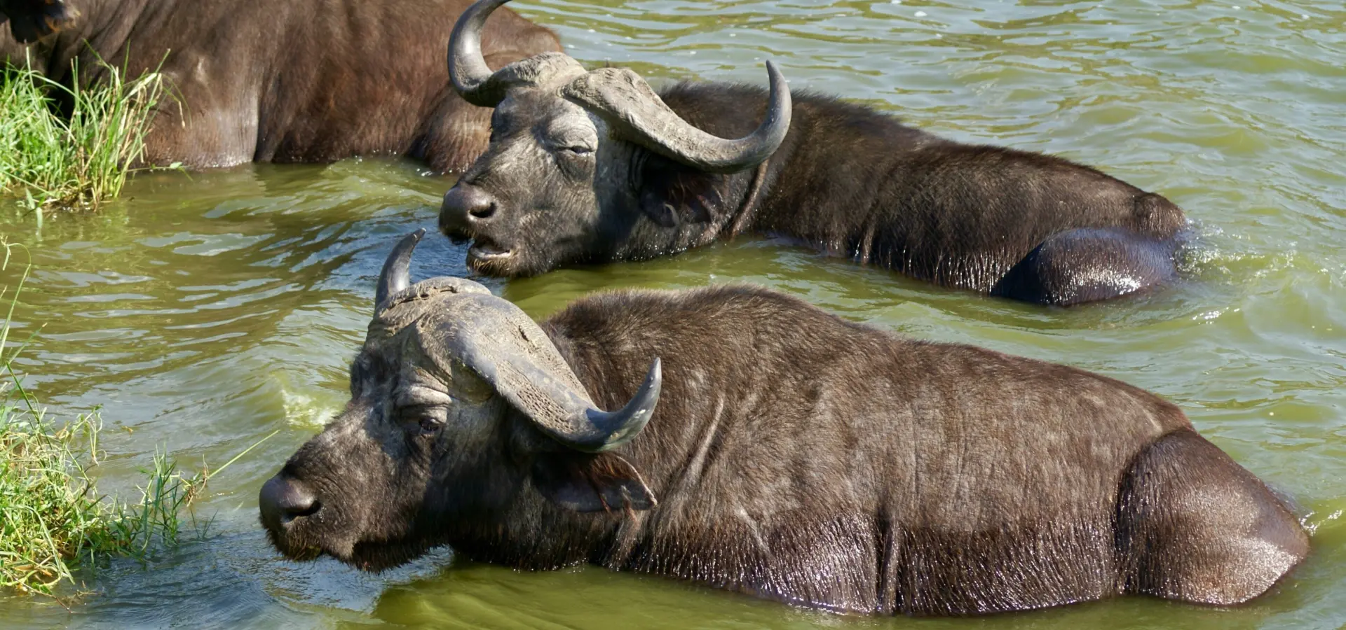 1761732138305lisa stockton avhzij oyzy unsplash