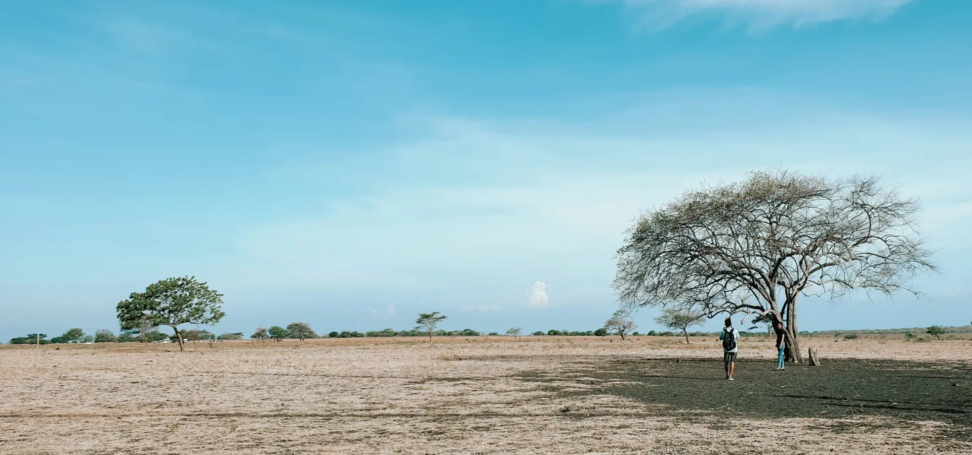 1761732138307yulia agnis xx3t2c8ff1o unsplash