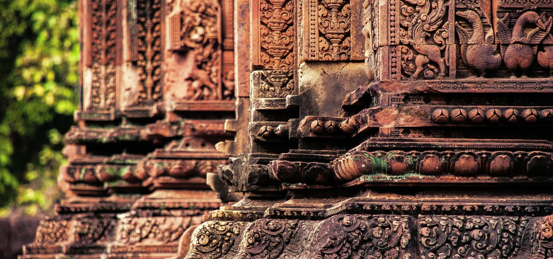 1757493356556jj ying vwfr0ruxr3g unsplash