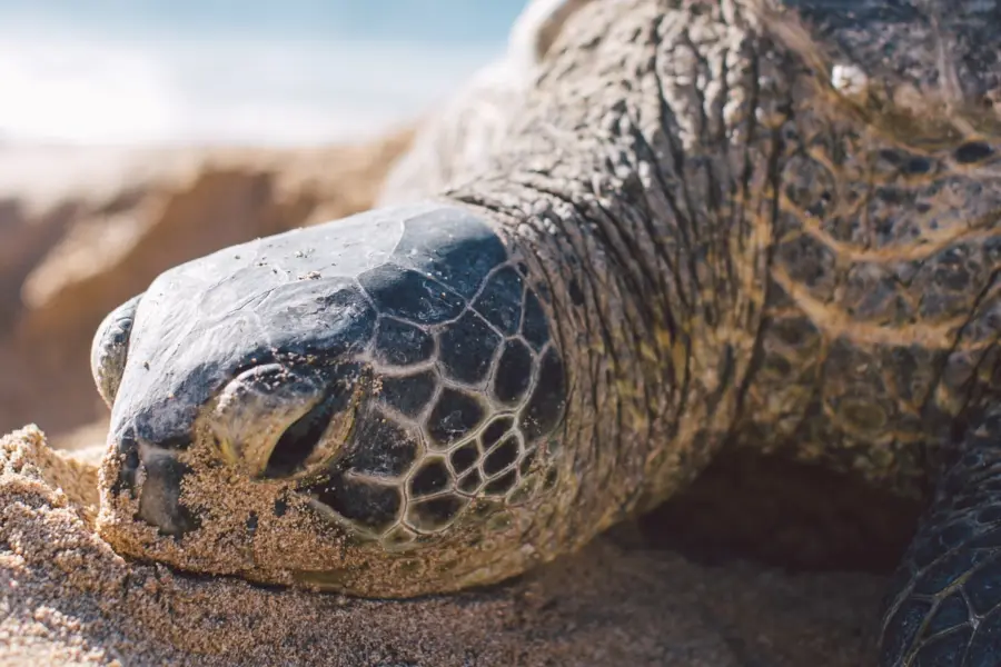 Keith champaco no4qtj mjti unsplash