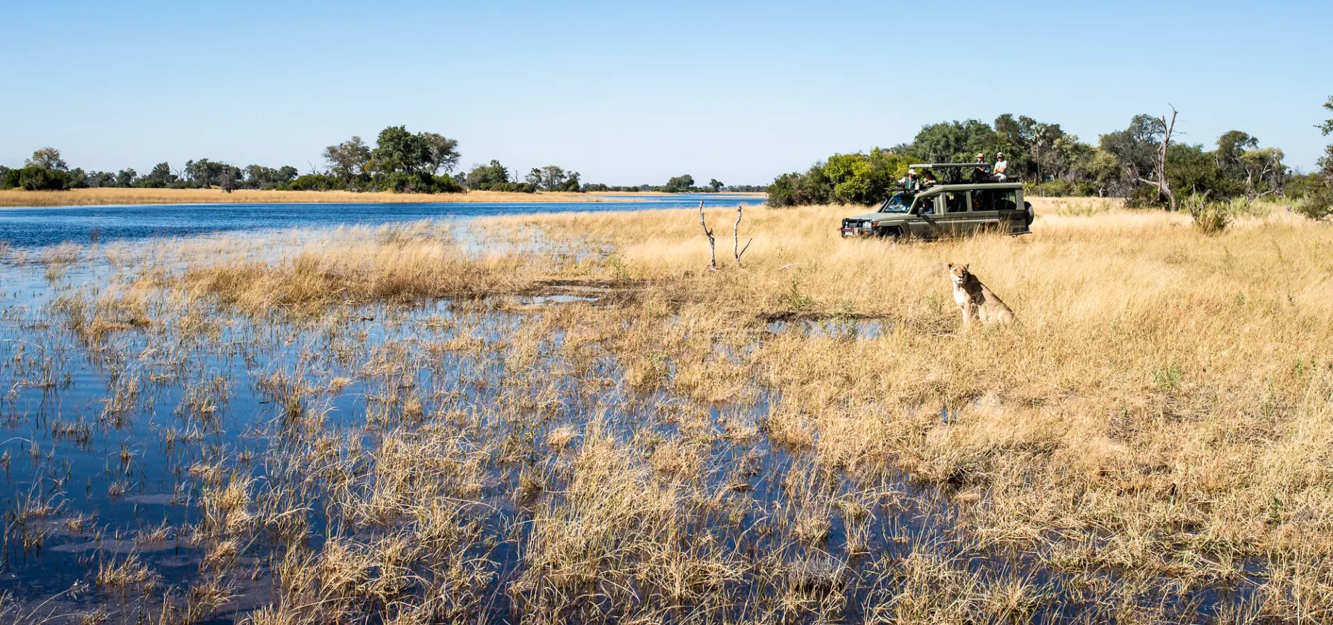 Kyle de nobrega okavango helicopter safari 102 of 1781