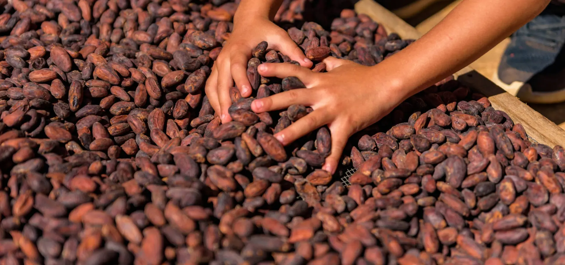 1761731878050felicitas fragueiro saw8ddzz2u unsplash