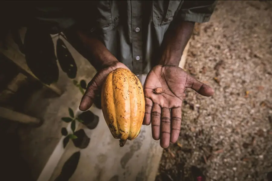 1761731878051schermopname29 10 2025105721www copaltreelodge com