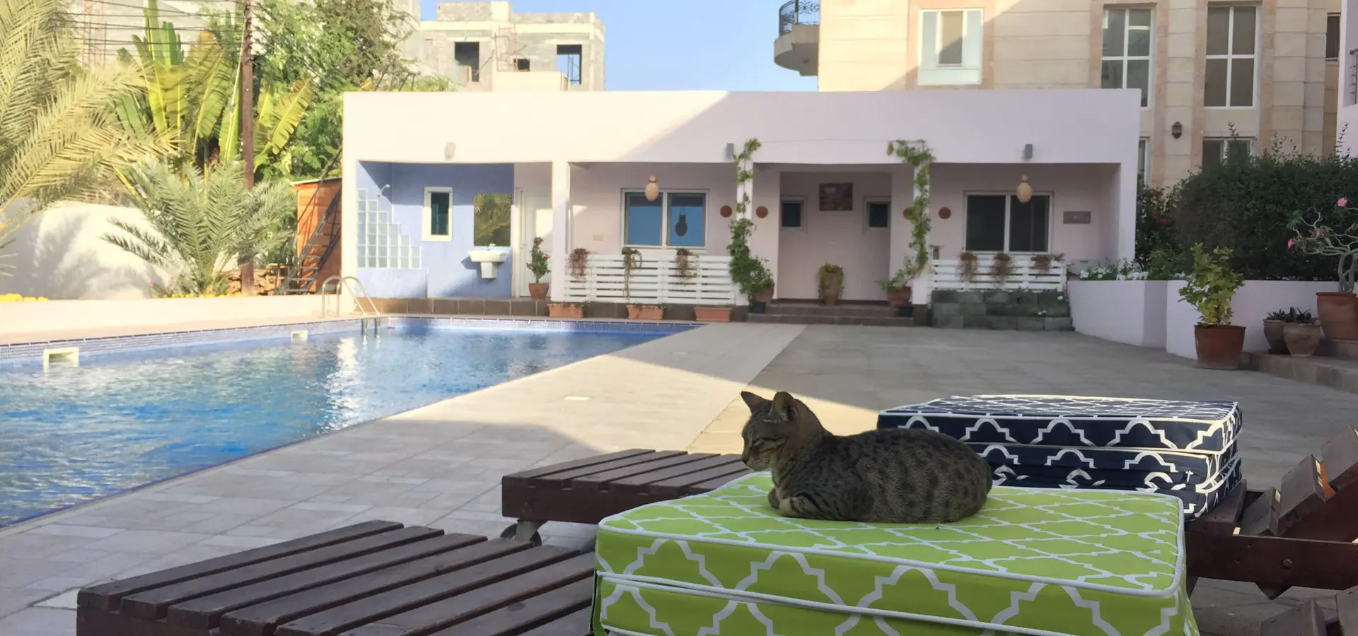 1739876313722 img 6383