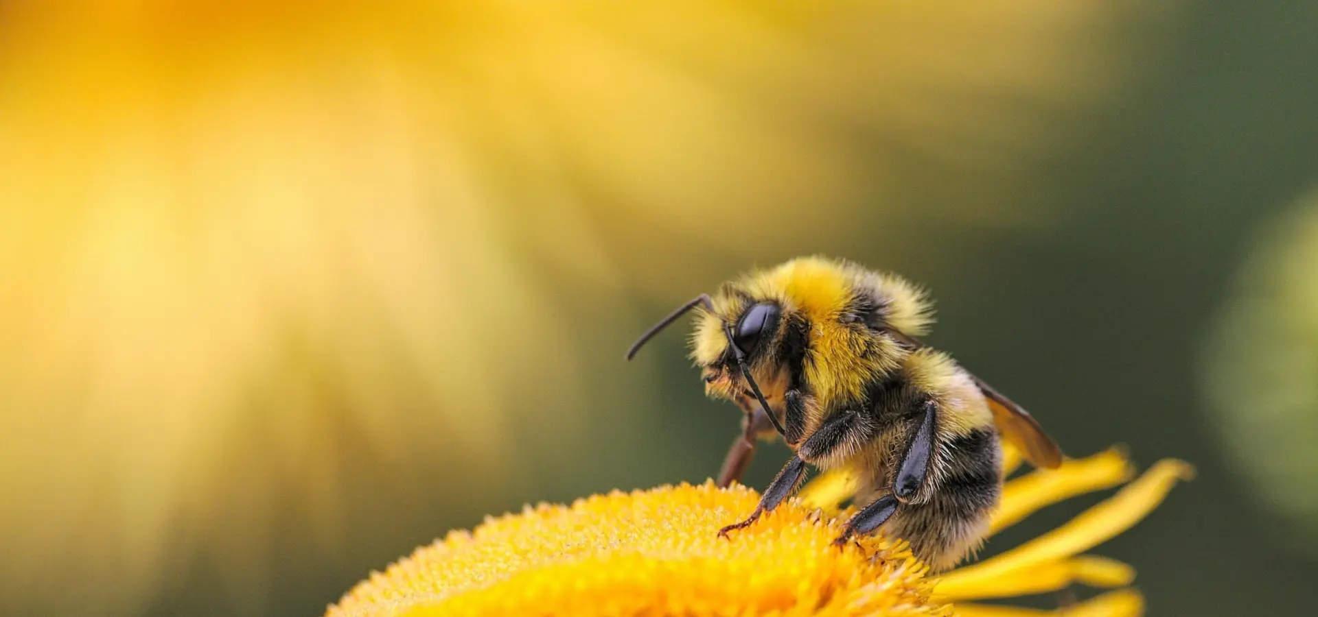 1785230688452 1776865810141dmitry grigoriev yxxpjf rrna unsplash
