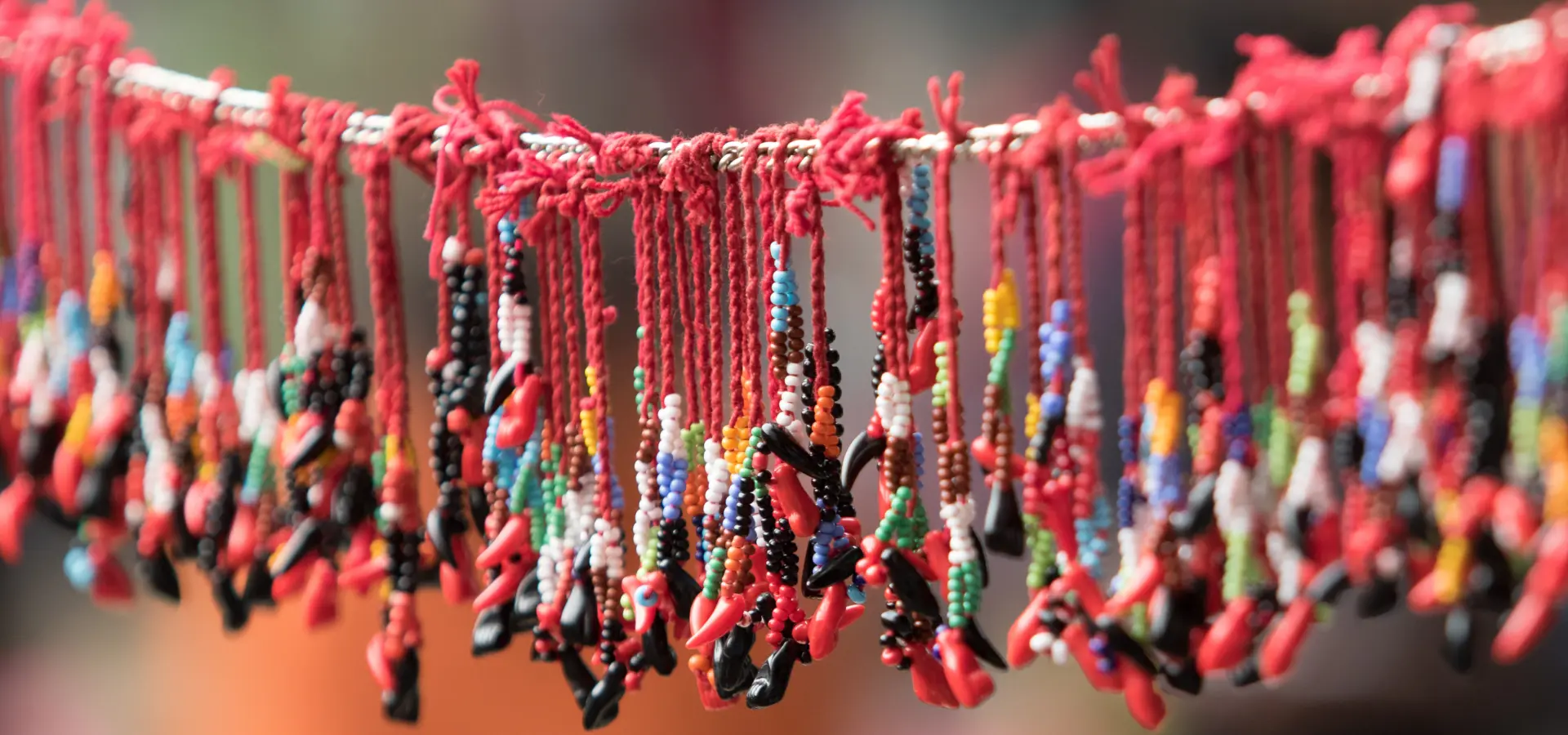 Shutterstock 543345880