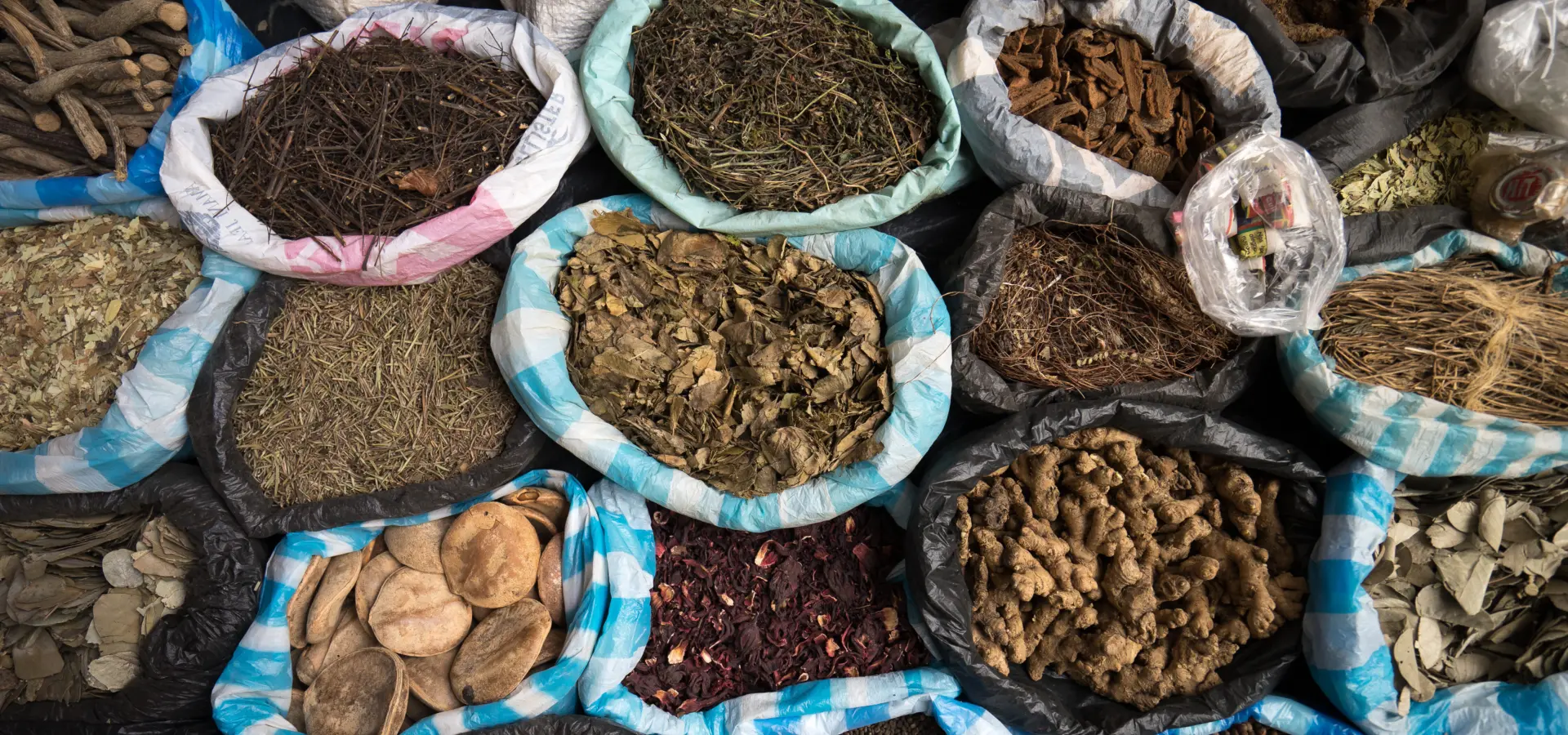 Shutterstock 541992418