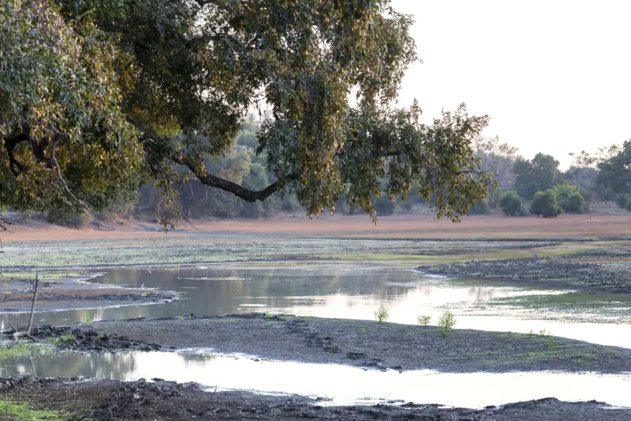 20230723 mg 4062 pano