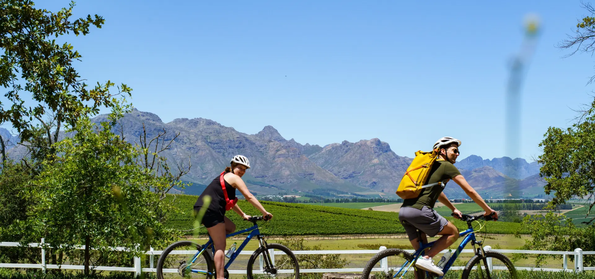 Bikes n wines half day stellenbosch tour 6
