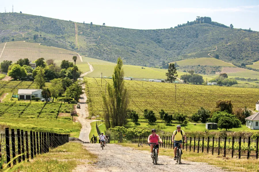 Bikes n wines stellenbosch vineyard bicycle tours 3