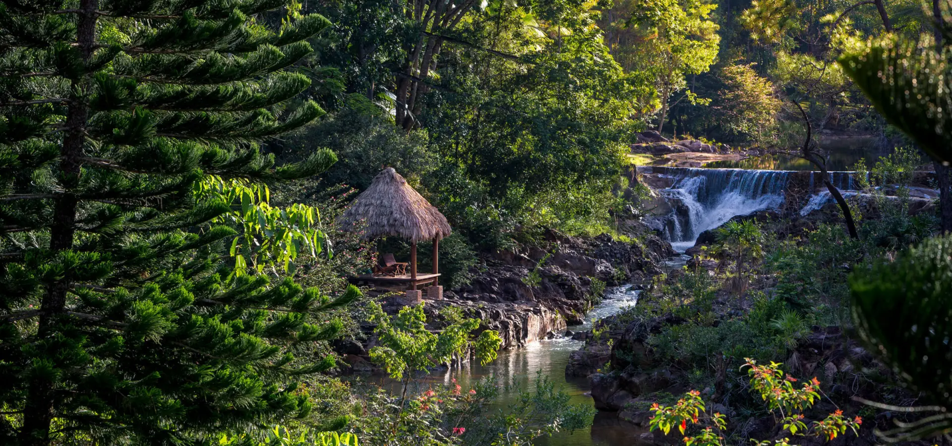 Bl 10 2014 7773 oct1