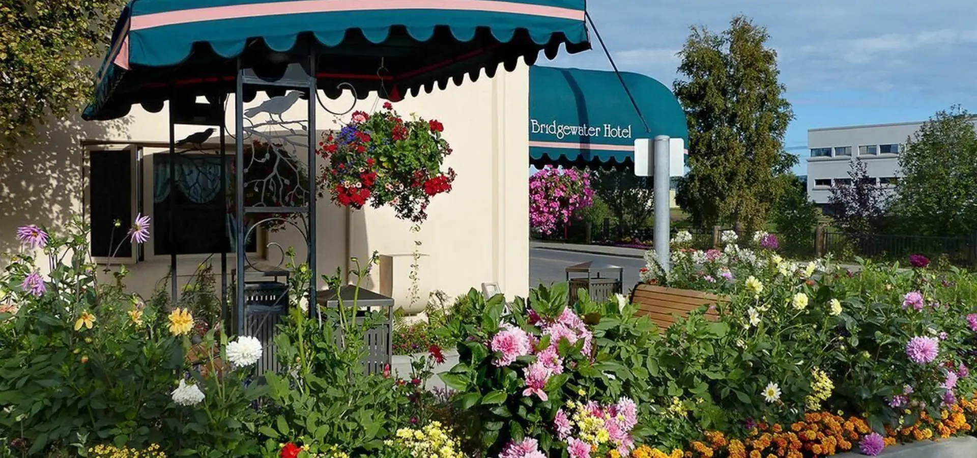 1799880 865410080155314 1115117884 o