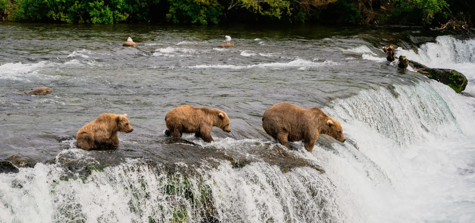 1744722617488 pradeep nayak 21f Fzg 8 MM8 unsplash