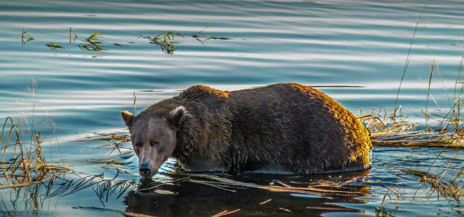 1744722617488 dick hoskins QIE5 h Z5 Qw8 unsplash