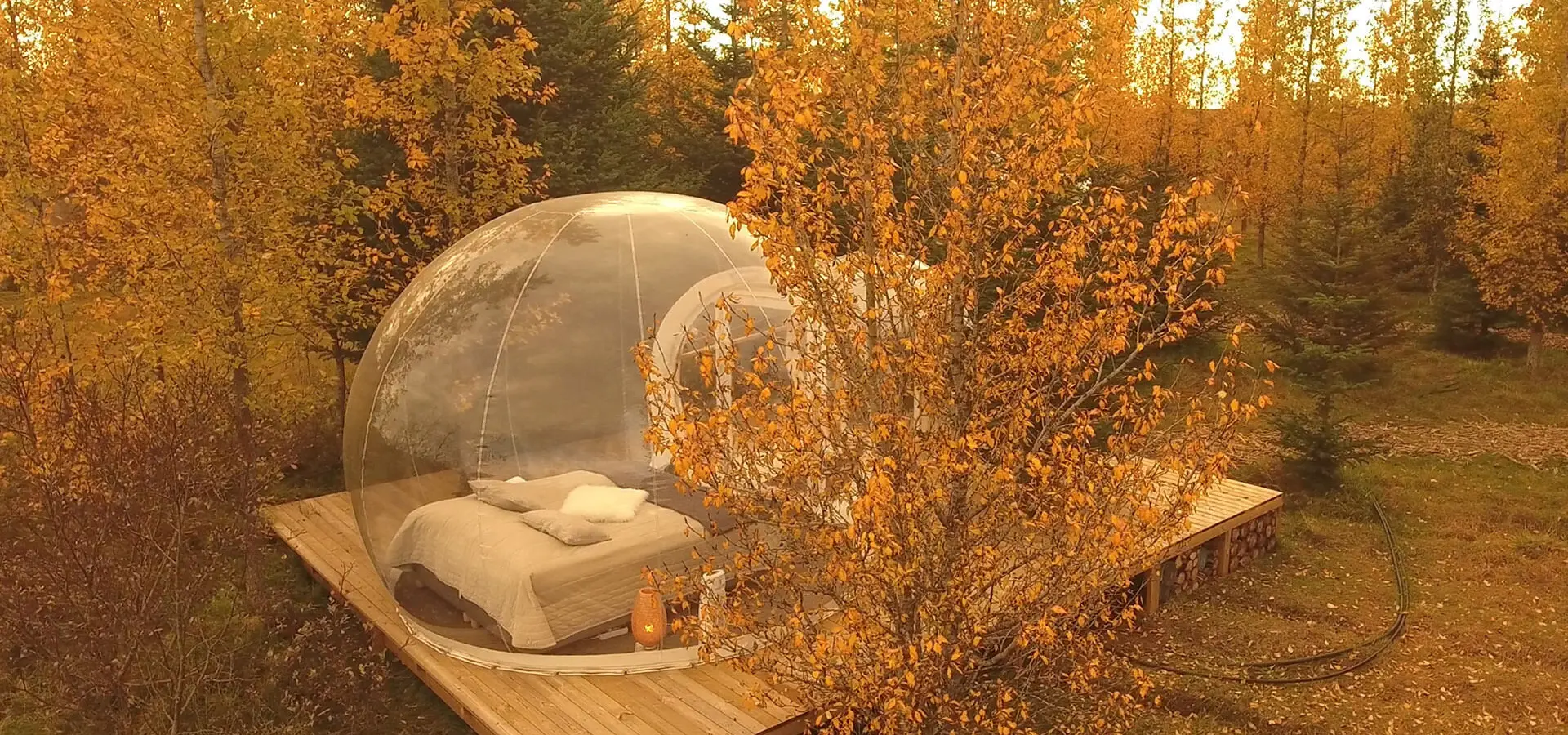 Bubble autum hd 1