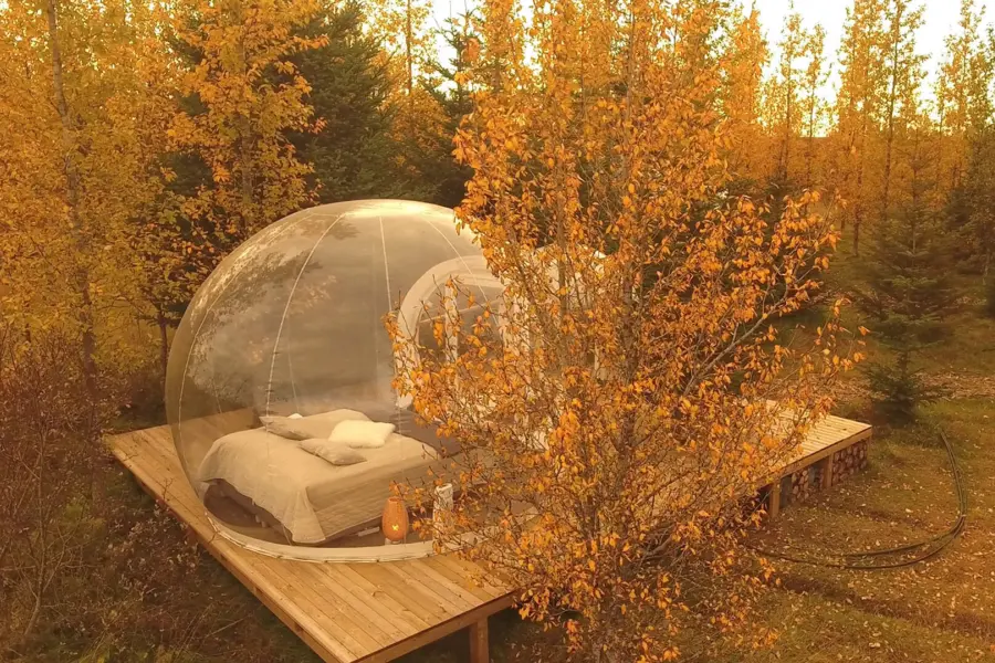 Bubble autum hd 1