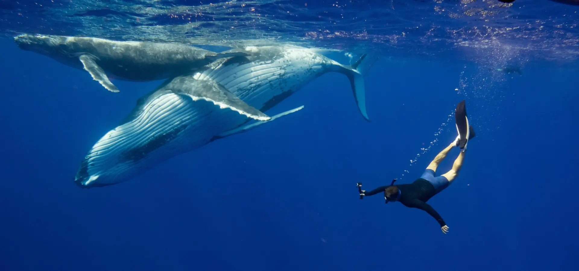 1759844029302personlpersonalgunderwatercook islands 2023dsc00477 min