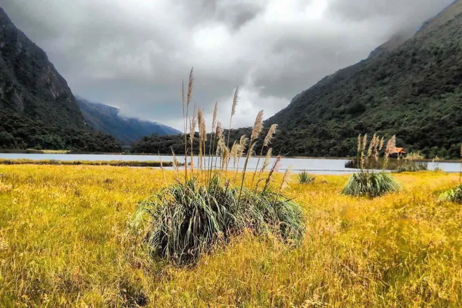 Cajas andes mountain range