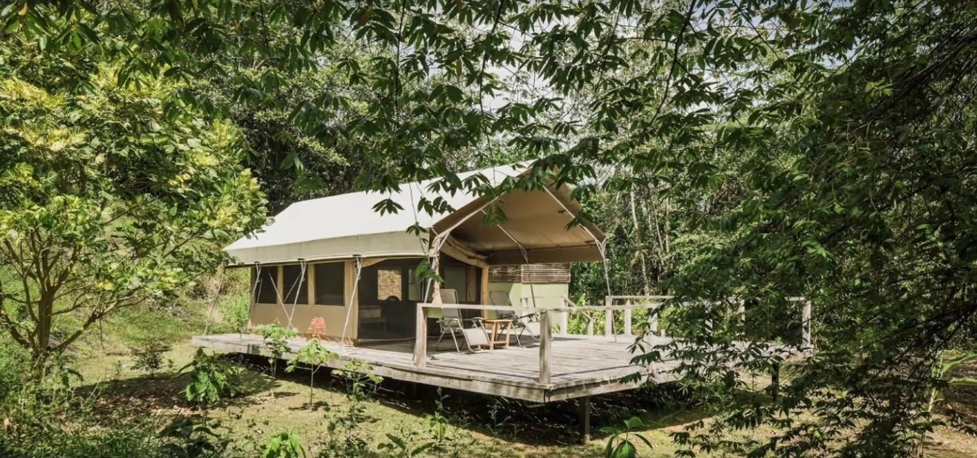 Safari tent