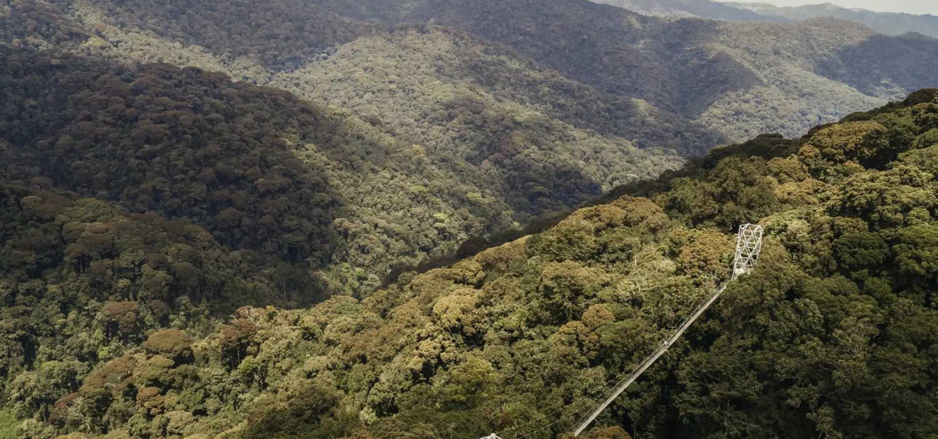 Visit rwanda nh oo lifestyle drone canopy walk 0803 master 1920x1280
