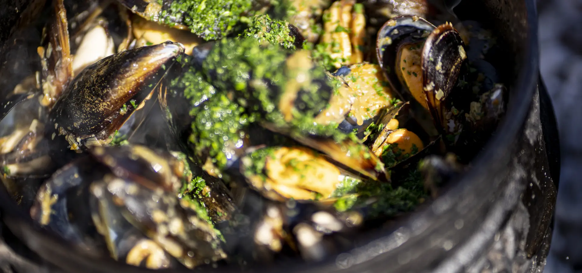 Jmmsonya7r3 41459 20220831