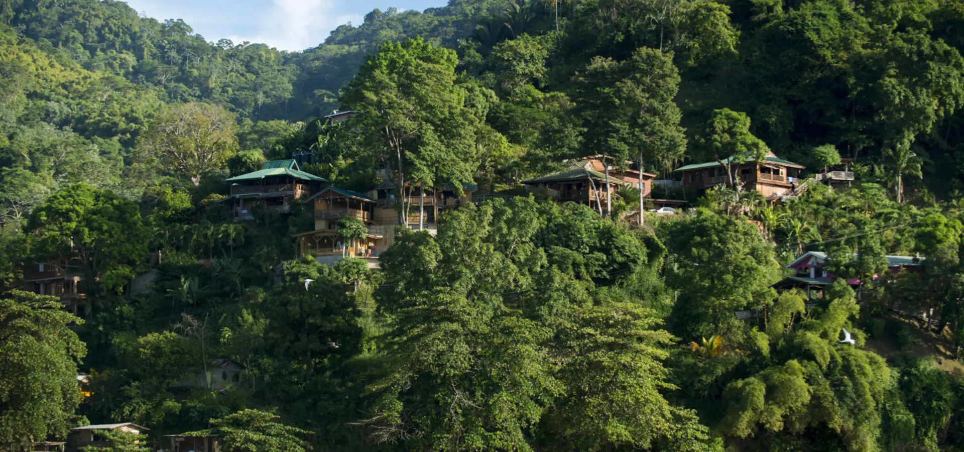 Castara retreats dsc 6796