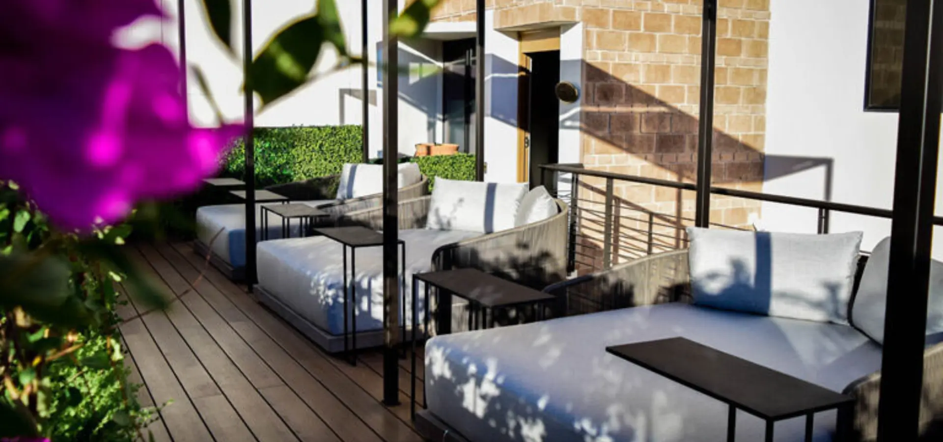 Fw231 dsc2948 768x512