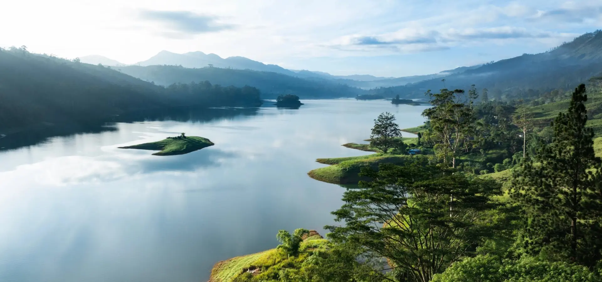 Sri lanka ceylon tea trails birdseye castlereagh