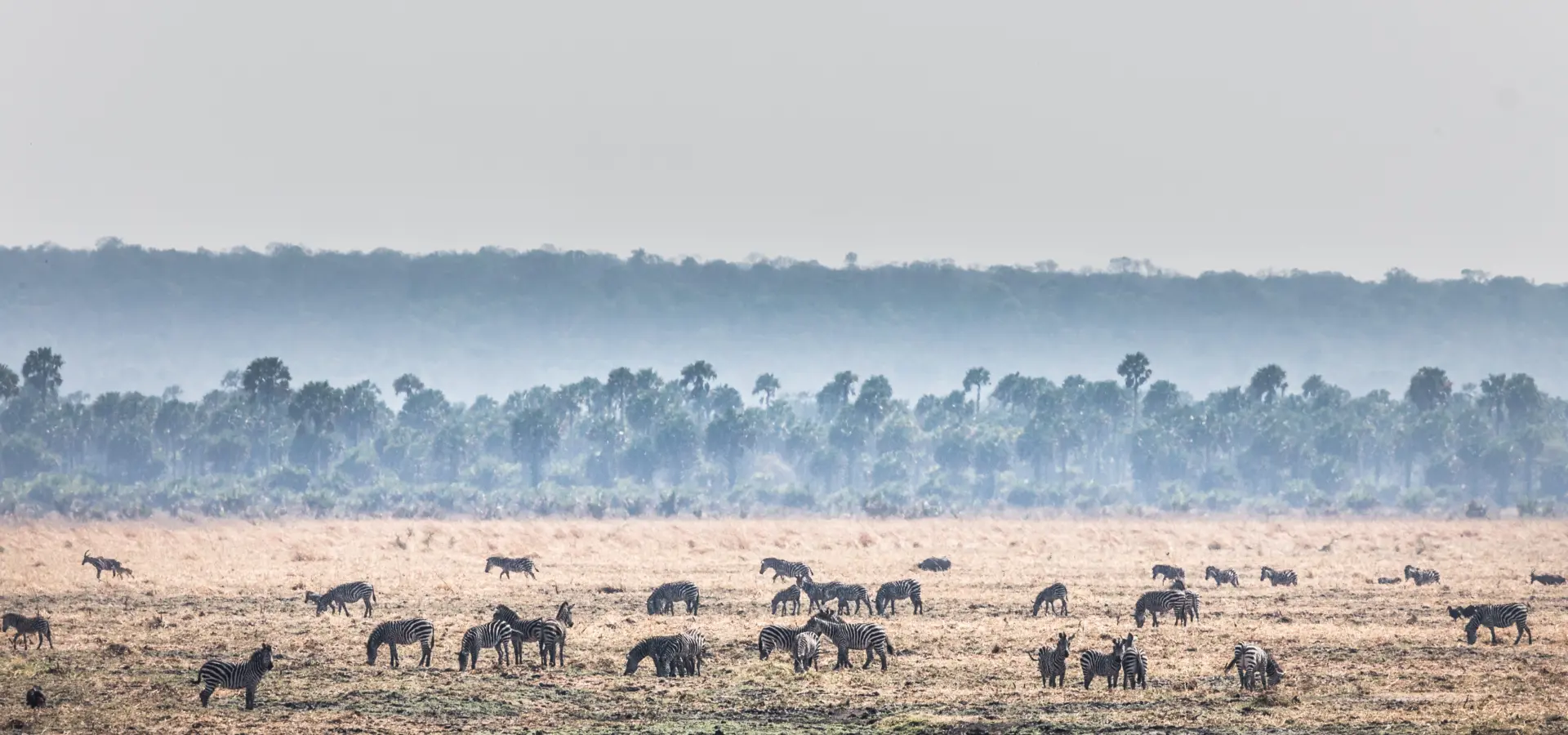 Katavi chada low res scott ramsay 59