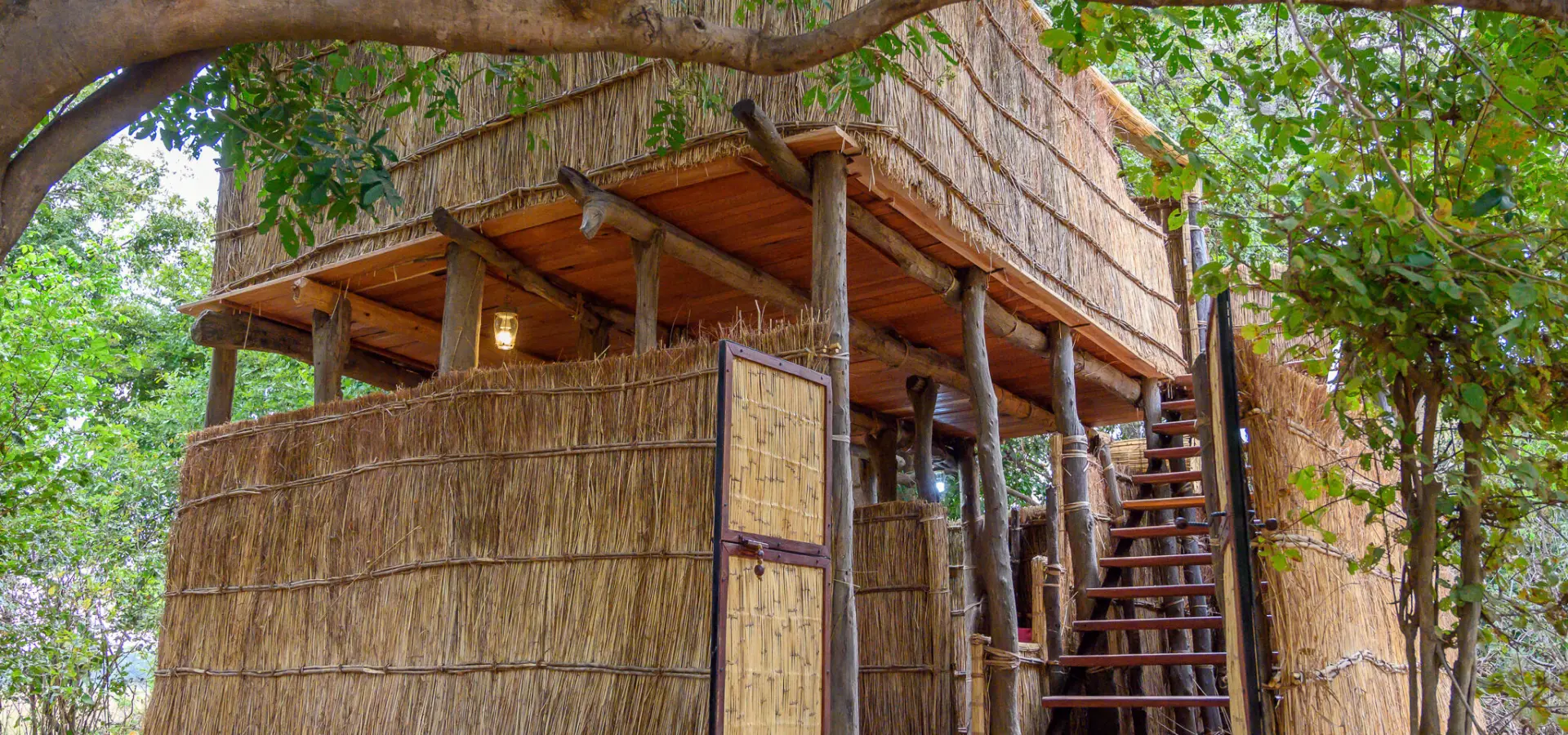 Chikoko chalet two entrance