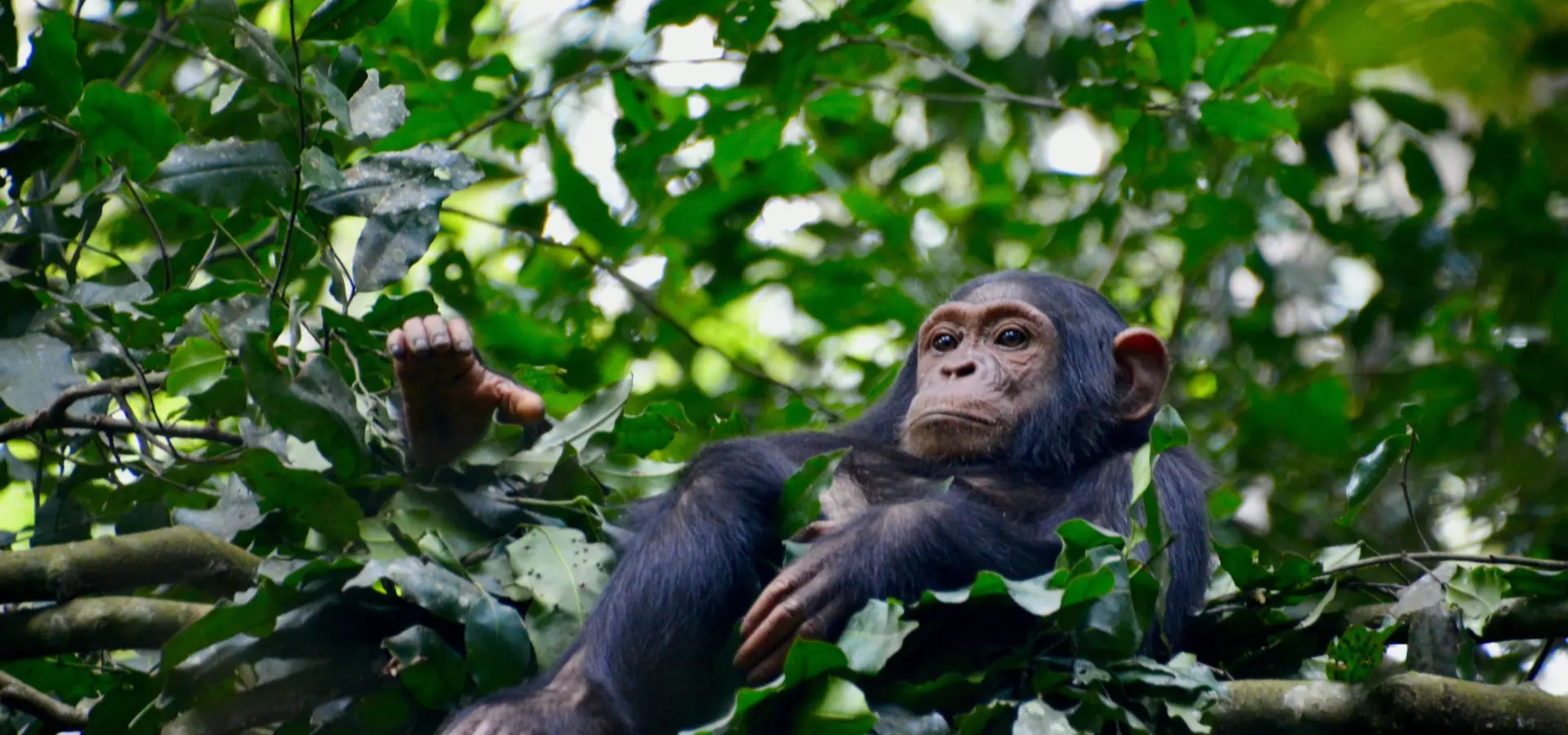 1764852137814fabiana rizzi xqzv zyofym unsplash