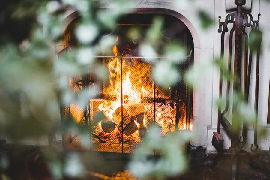 Fire with fireguard 11981