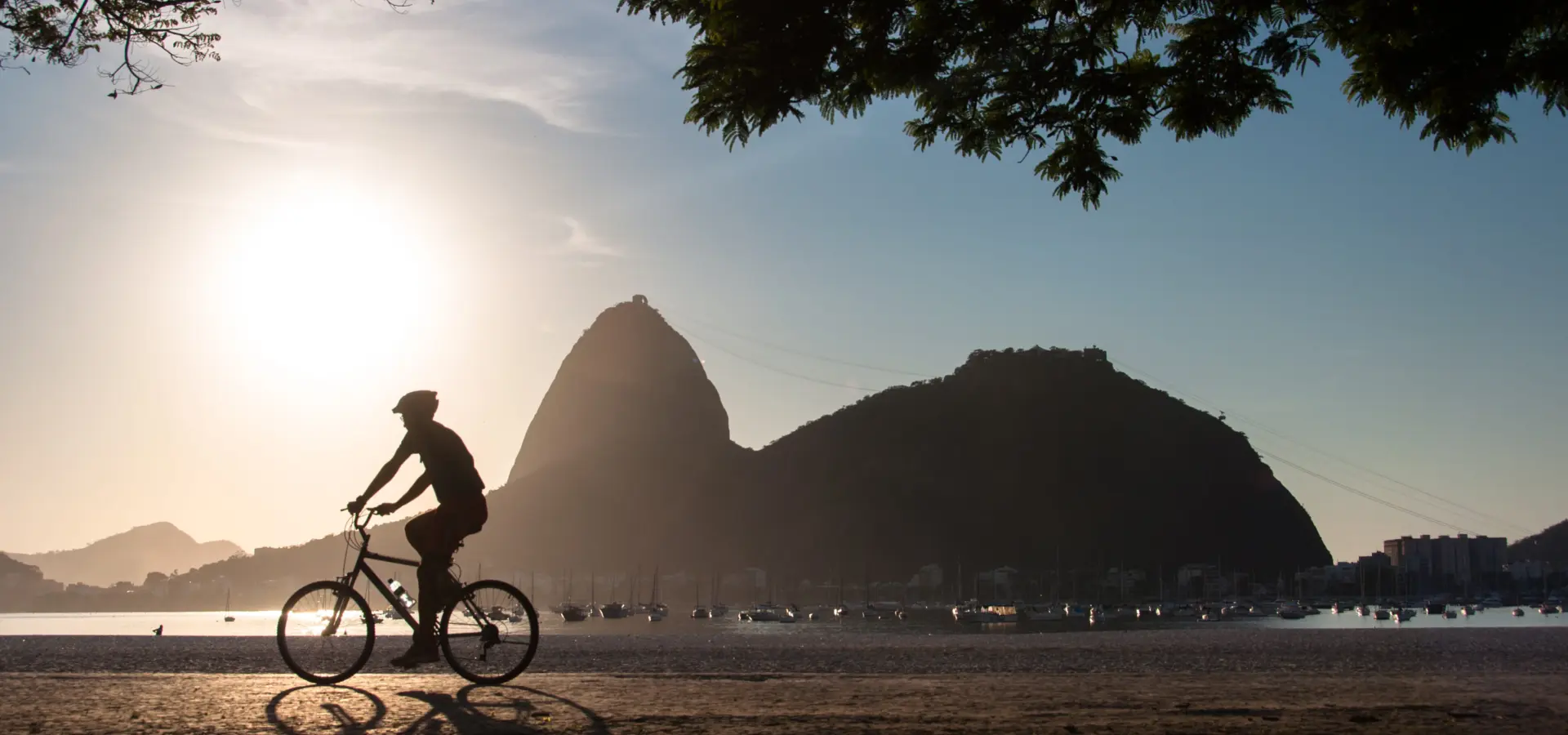 Shutterstock 345109298