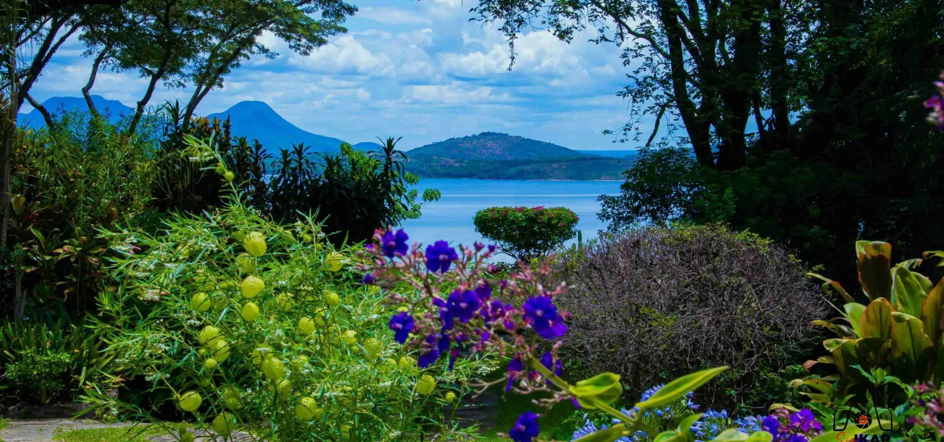 Garden view11zon scaled