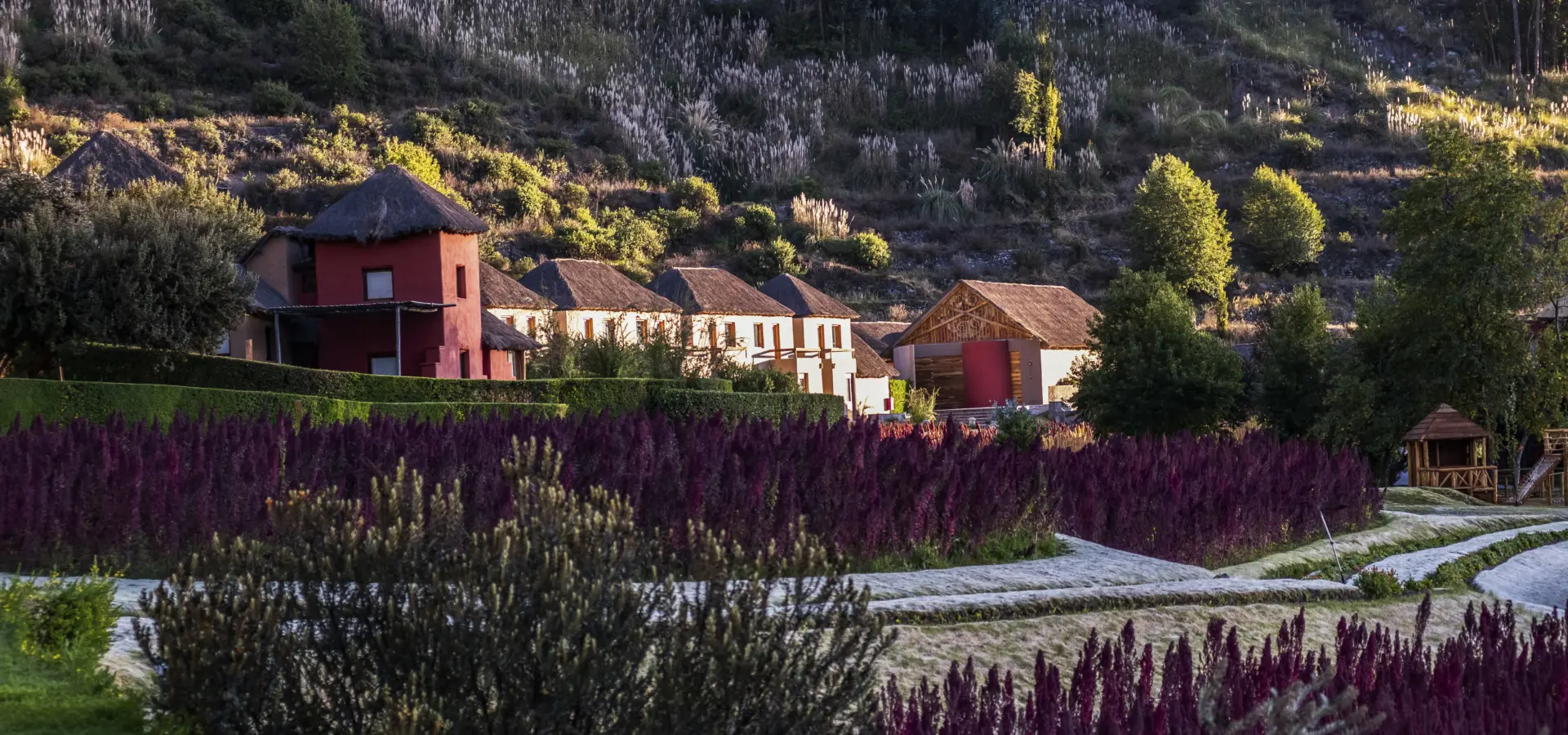 Colca lodge 22 1