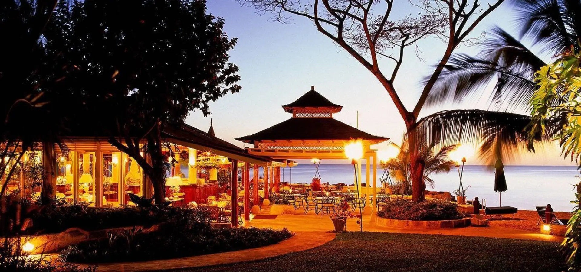 Coral reef club evening