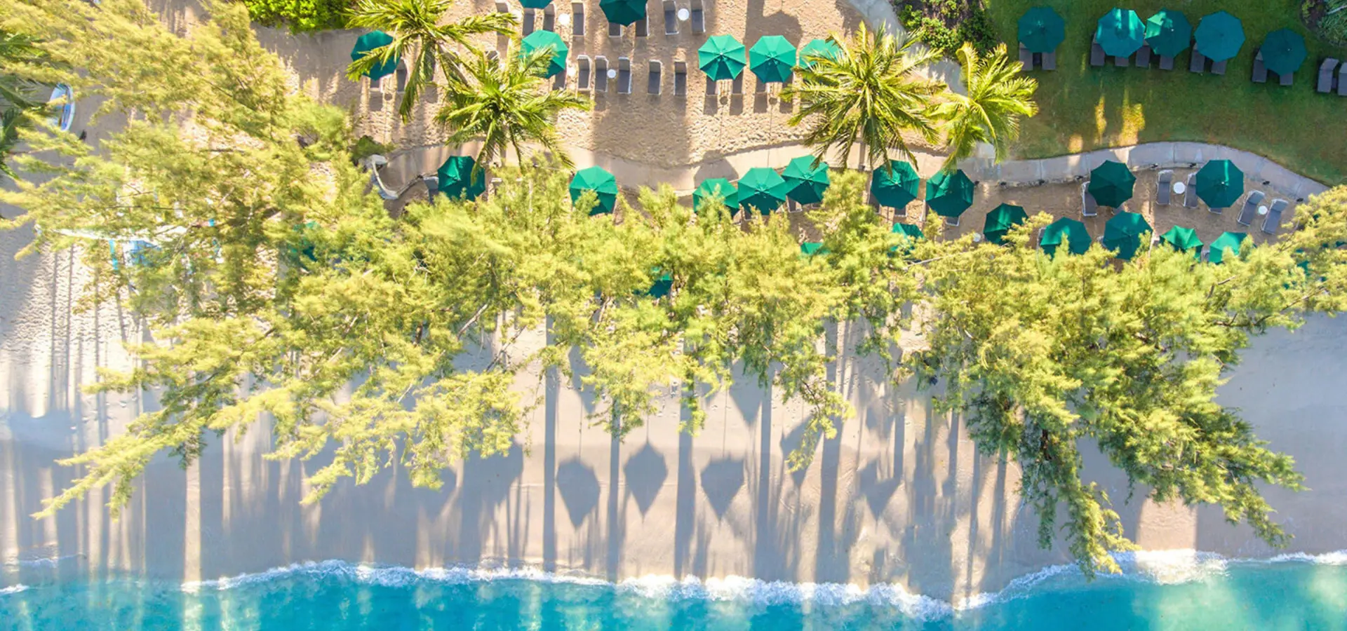 Coral reef club beach