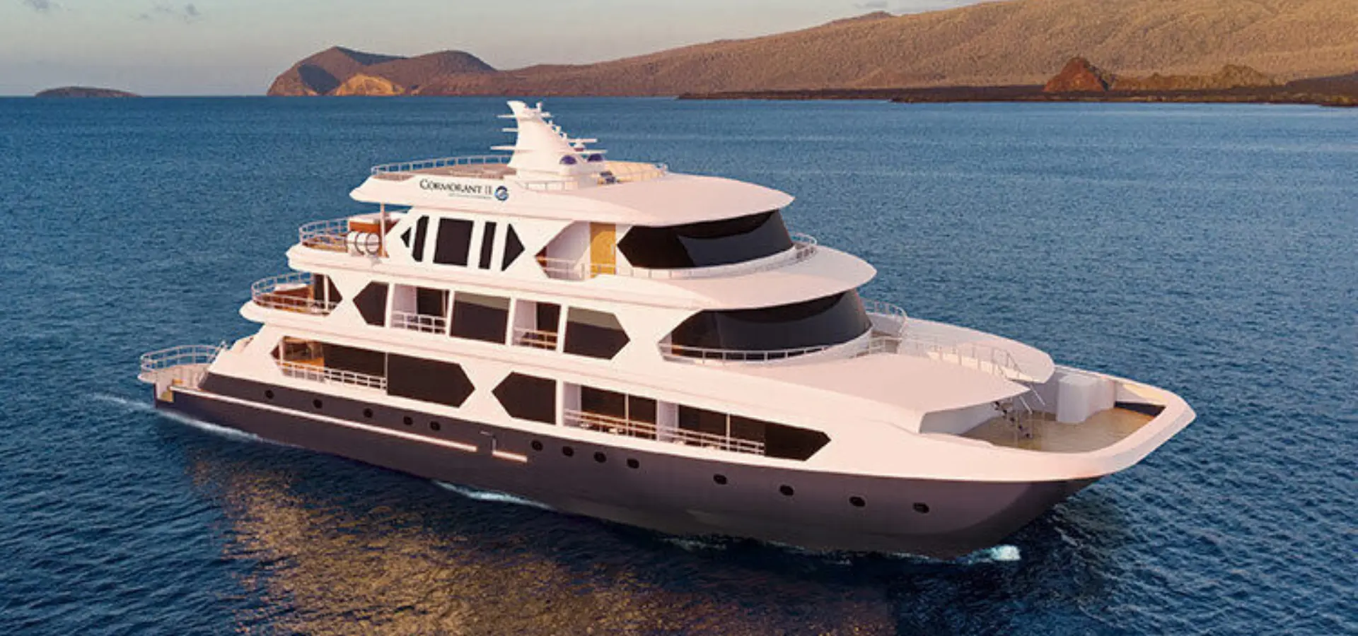 Cormorant2 2