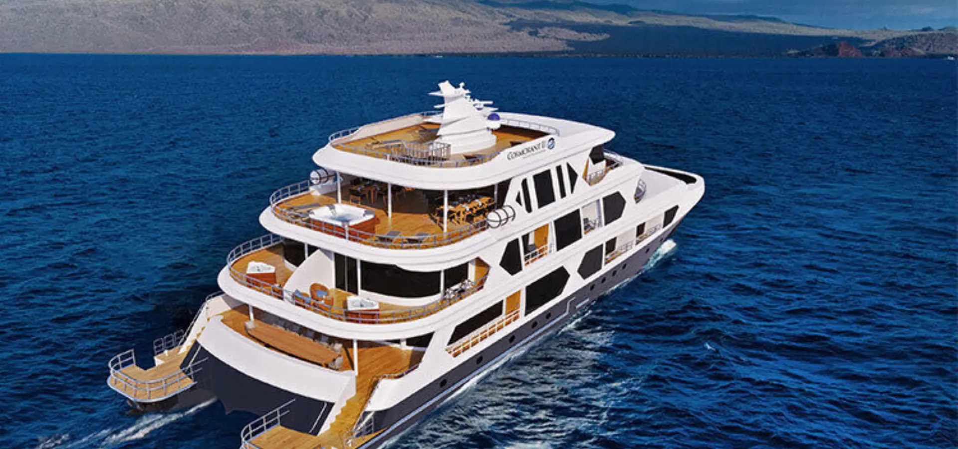 Cormorant2 3
