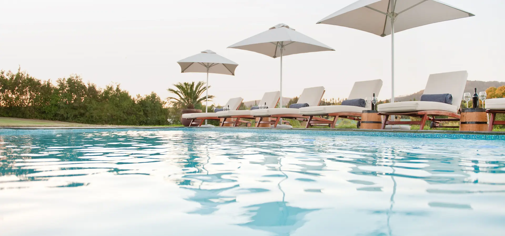 Stphotography cultivar maart2014 047